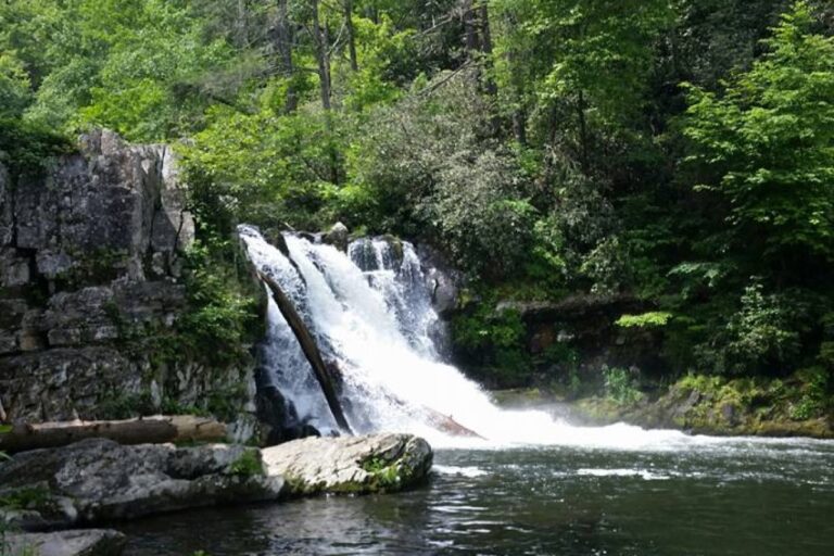 Abrams Falls TN: A Fun Family Hike With Beautiful Views