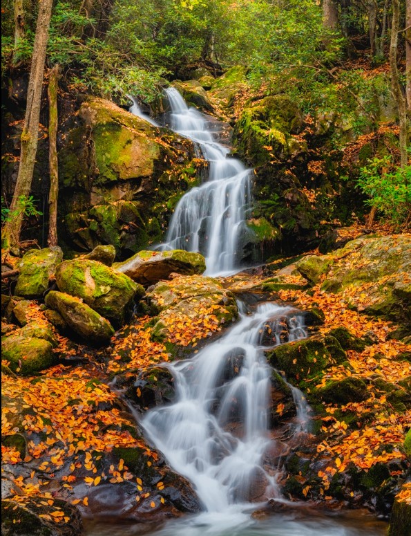 Mouse Creek Falls: A Hidden Gem in the Smoky Mountains