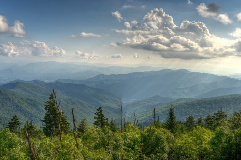 The Ultimate 7 Day Travel Itinerary for the Great Smoky Mountains National Park