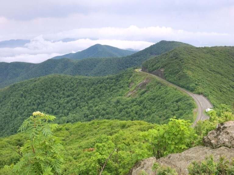 Places to Hike Along the Blue Ridge Parkway: A Scenic Adventure Suitable for Everyone